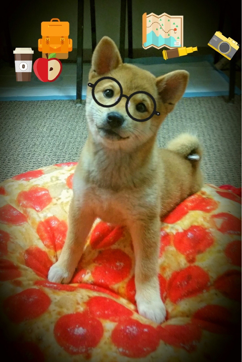 利物浦提前终结悬念！洪都拉斯成背景板，卡拉斯科进攻端无人可挡