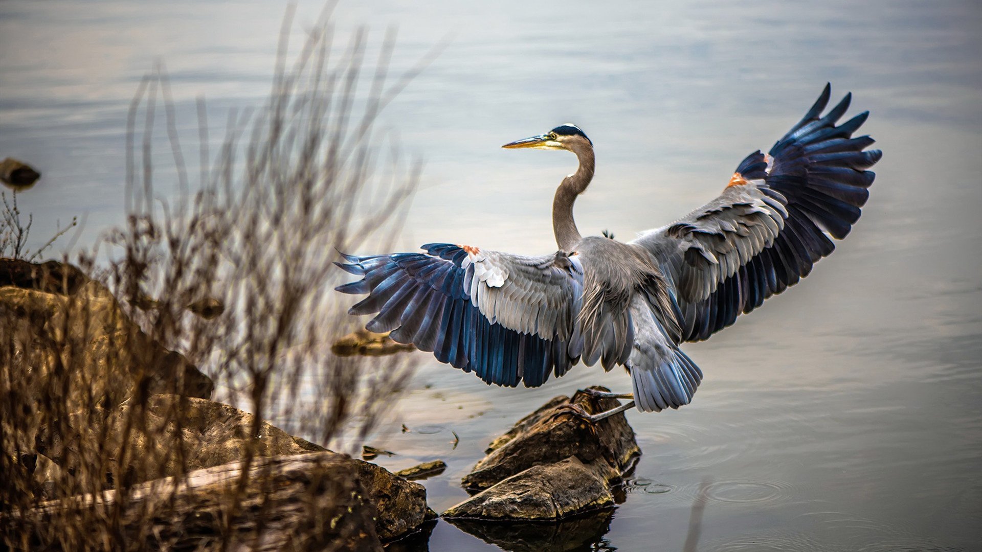 风暴眼贝恩！开拓者用雷霆的陨落，验证了蝴蝶效应