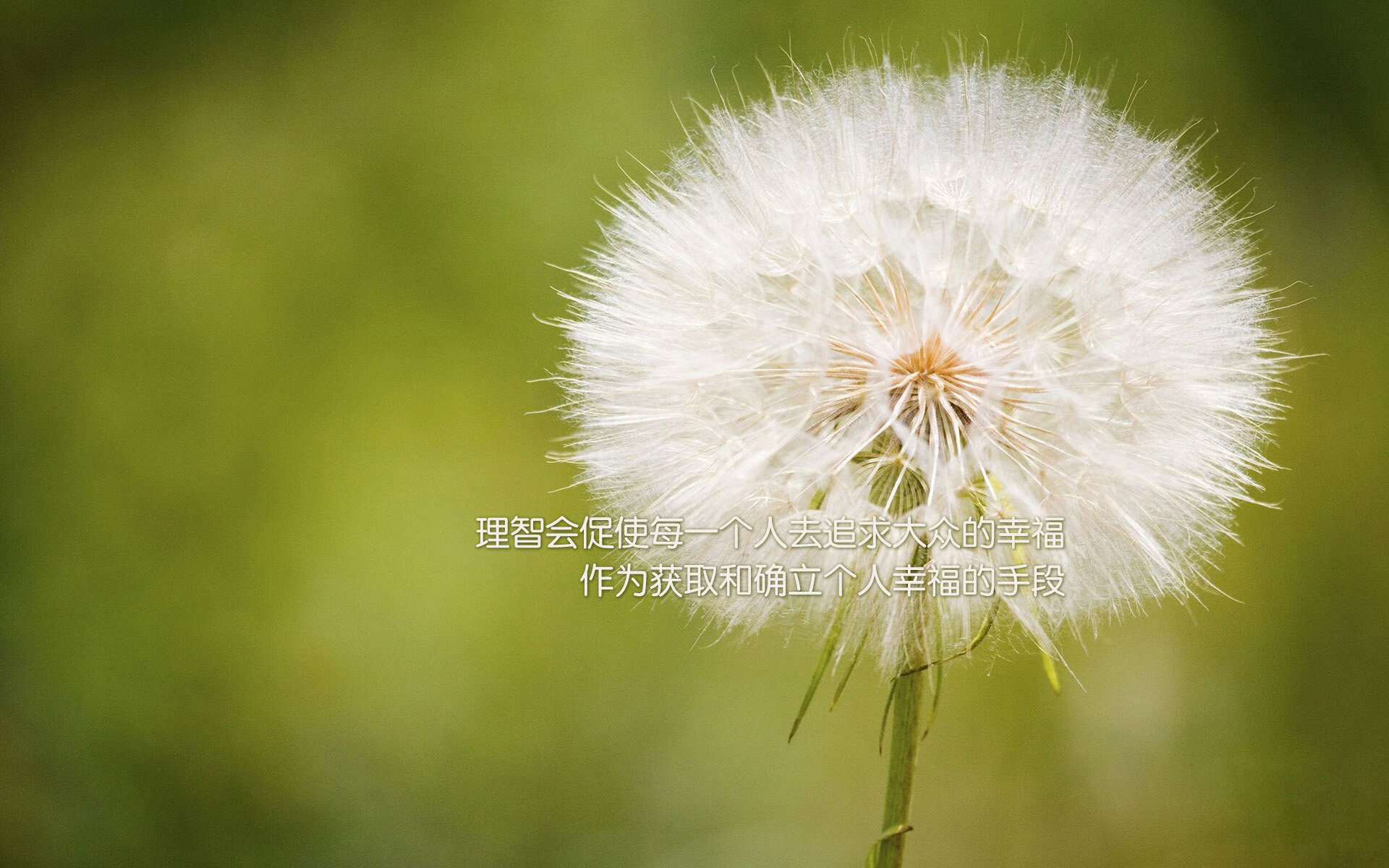 德甲争冠夜变剧本杀，拜仁掉链子，勒沃库森逆袭，球迷，这剧情NBA都编不出！