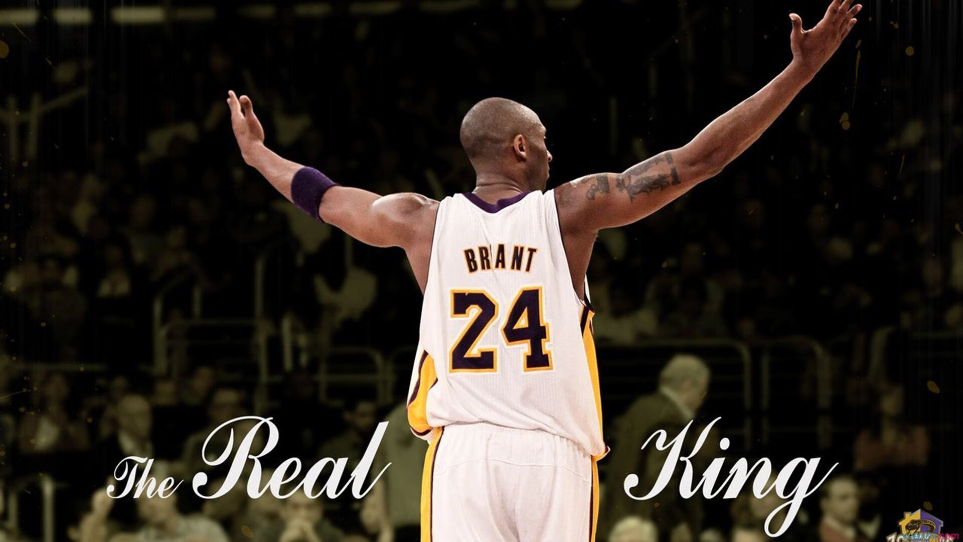 四年磨一剑,塔图姆关键绝杀,森林狼横扫独行侠背后的团队启示