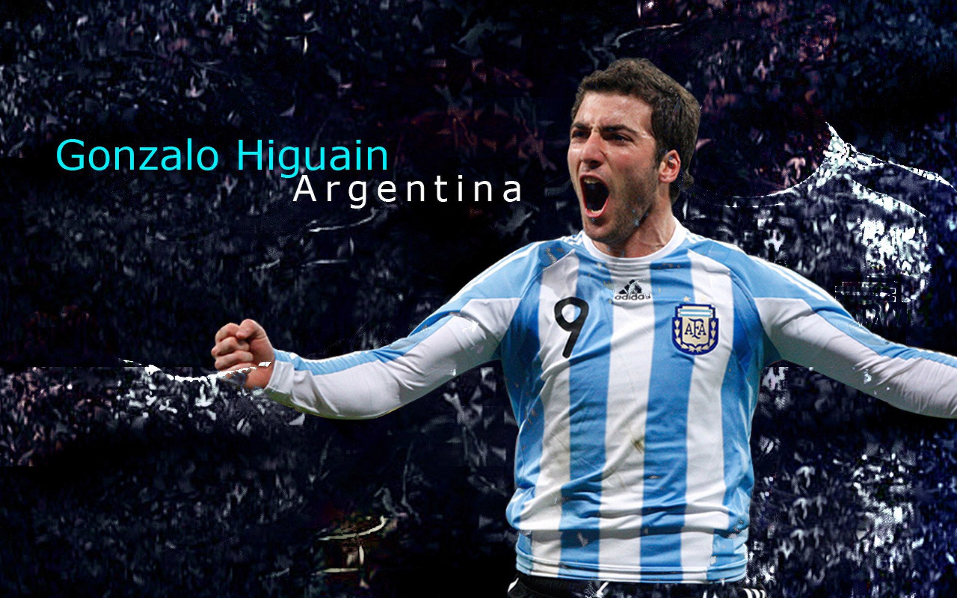 惊天跨界！当意甲灰熊强压浙江队，我们看到了什么？